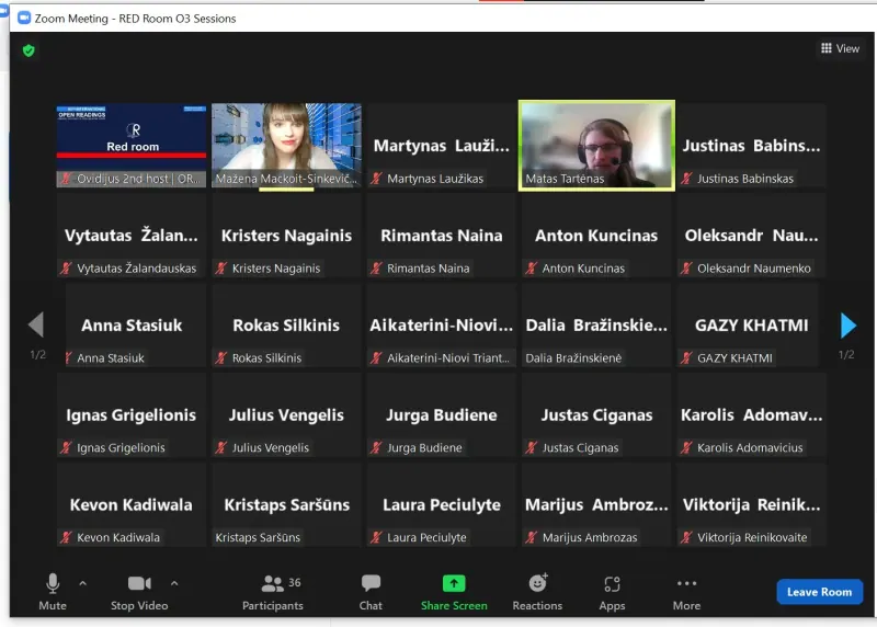 Bendras vaizdas